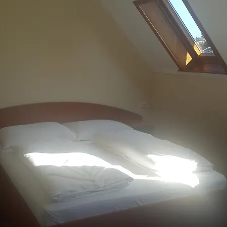 Venusz 2 Panzio Inárcs