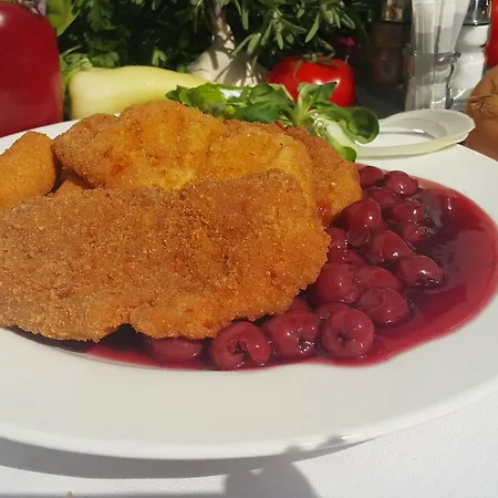 Venusz 2 Panzio Bed and Breakfast *