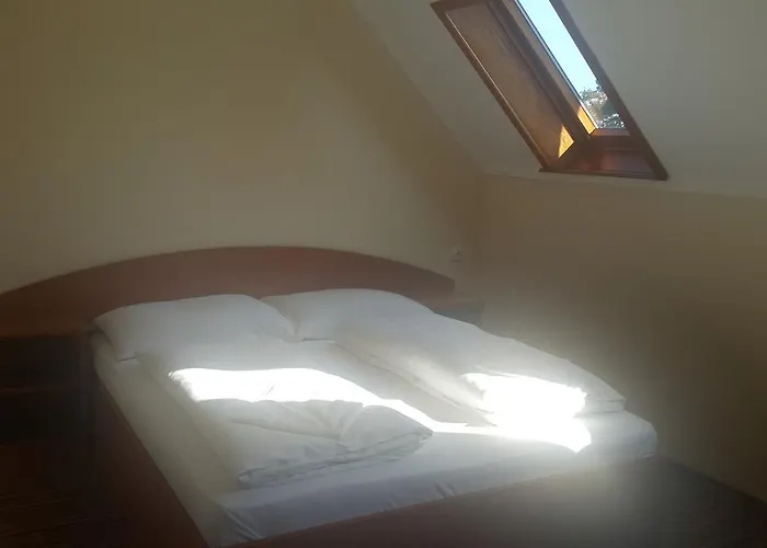 Venusz 2 Panzio Inárcs
